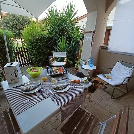 A10 Nel Borgo- Con Giardino Vista Mare Apartment Guardistallo Exterior photo